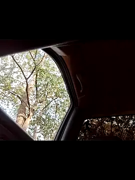 ryder393 online show from November 22, 7:49 pm