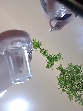 Samantha hotly online show from October 31, 1:59 pm