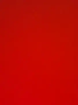 papukurty online show from November 20, 2:18 pm