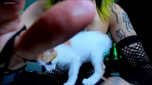 kattusauruss online show from April 24, 6:16 am