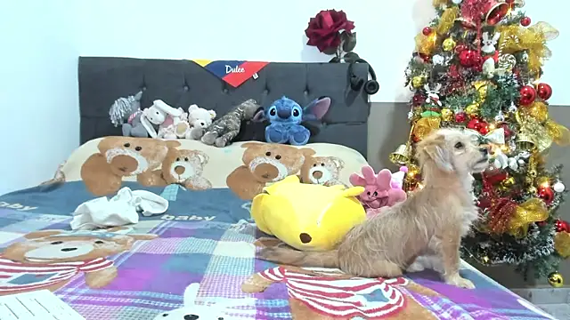 Princesita Sofia  online show from January 7, 12:25 am