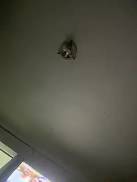 Isabelaa  online show from March 28, 3:28 am