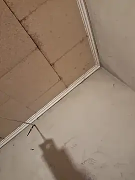 Tudiablita21 online show from April 6, 7:53 am