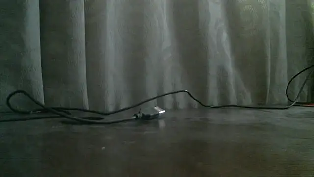  ari gato  online show from November 4, 3:17 pm