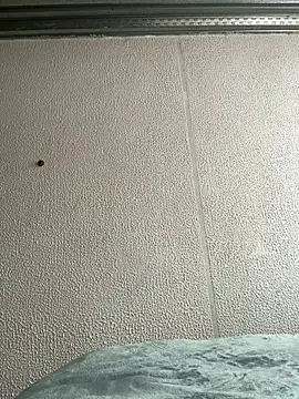 sweet artemiis online show from July 14, 8:13 pm