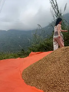 Phayphay77 online show from November 5, 2:17 am