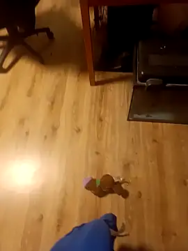 KissMeAss9387 online show from November 27, 9:39 pm