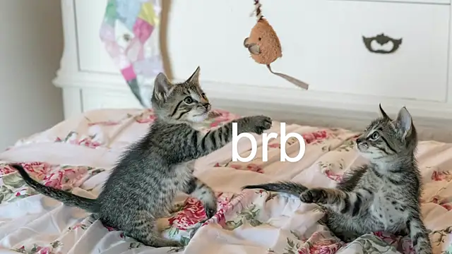 Pink girl0n online show from October 28, 8:25 pm