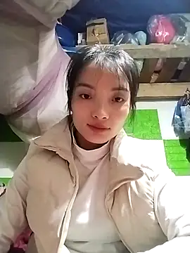 tdtd98 online show from February 1, 8:13 am