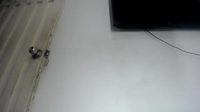 Foxy Lovex online show from April 25, 1:41 am