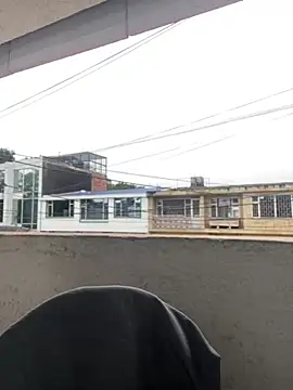 Sallem Pink online show from April 25, 12:41 pm