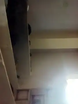 NISHU-TELUGU online show from February 9, 5:26 pm