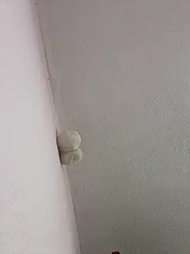 saranghae  online show from March 2, 3:06 am