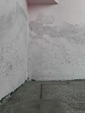 Love-pari077 online show from October 19, 2:35 am