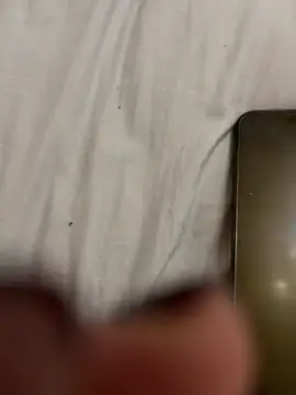 Afrodite-2025 online show from February 12, 9:05 pm