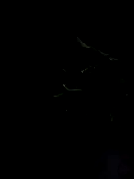 AmberMoss1 online show from October 9, 1:54 am