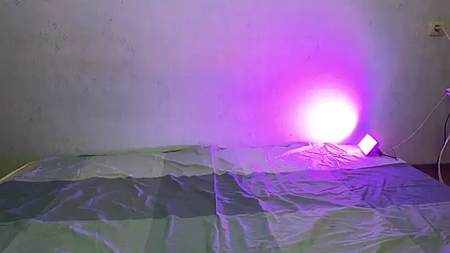 Somniyaa online show from December 14, 2:23 pm