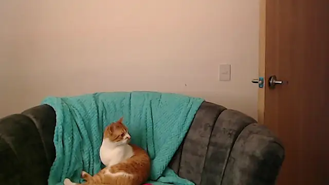 Snapshot of -Ivonny chatting on October 11, 9:06 pm -Ivonny online show from October 11, 9:06 pm