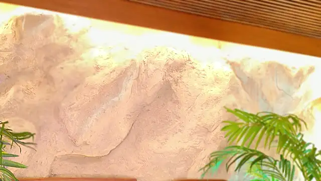 alisonn moon online show from April 25, 9:56 pm