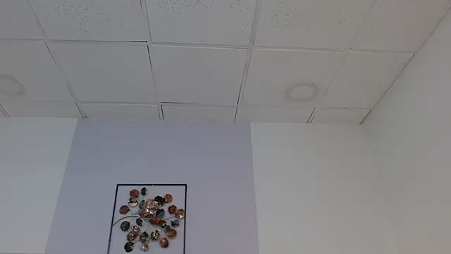 Celesstegh online show from April 27, 11:18 am