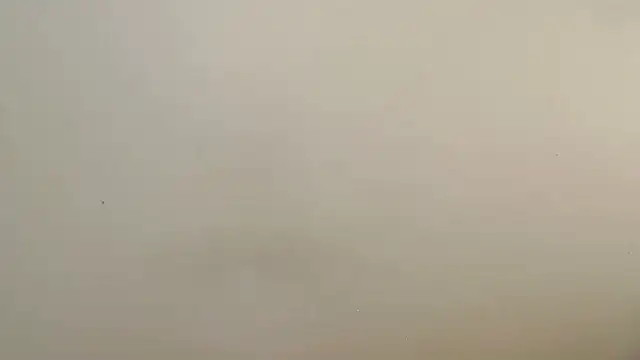 Blackberry96  online show from November 17, 9:21 am