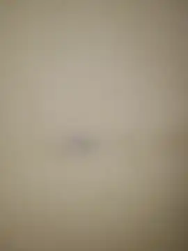 estefymariam88 online show from October 20, 5:54 am