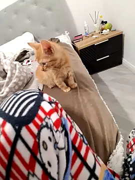 Anayssa  online show from September 29, 9:09 pm