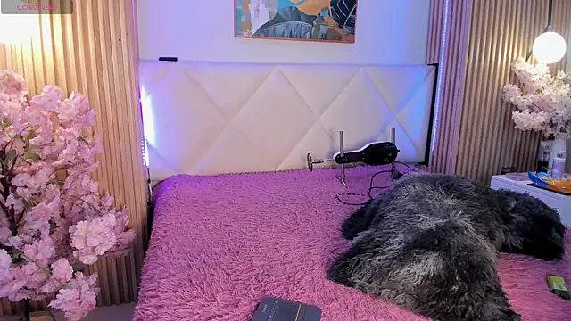 veronica hill  online show from June 11, 3:25 am