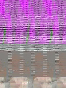 Sonam pandeyji online show from November 18, 3:13 pm