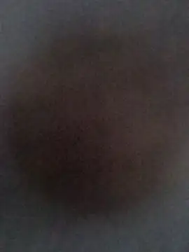 Punam ji online show from November 2, 10:29 am