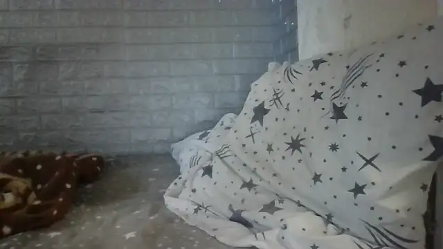 DanaNeon online show from July 13, 11:44 am