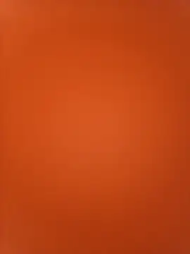 jamila zair online show from February 13, 3:02 pm