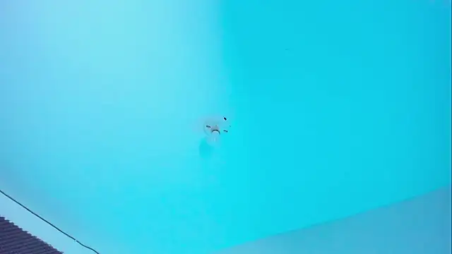 Im naho online show from November 14, 9:59 pm