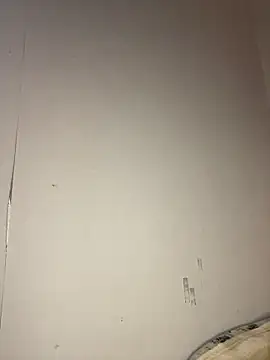 April Purr online show from April 1, 1:41 pm