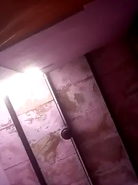 TINASONI online show from April 24, 12:30 pm