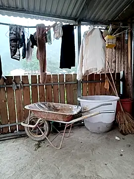 linda bae00 online show from April 26, 2:09 am