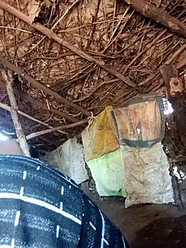 Dikchahot online show from December 18, 6:29 am