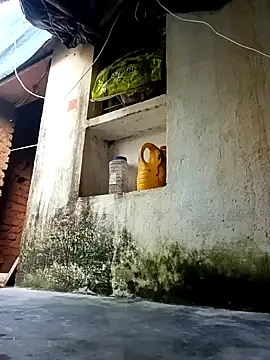 cute diya 12 online show from October 5, 9:36 am