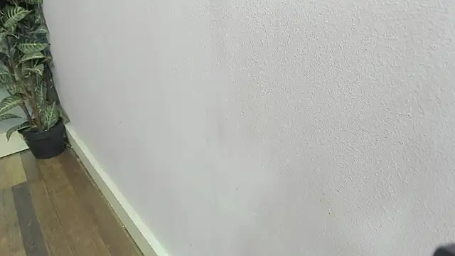 scarlett646 online show from February 22, 3:07 am