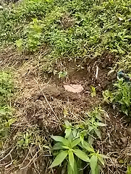 venu00 online show from April 21, 1:42 am