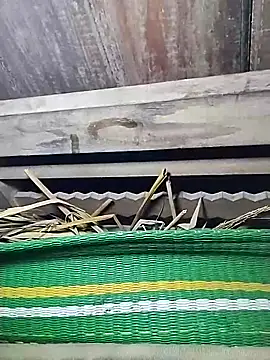 lylylove online show from April 23, 3:36 am