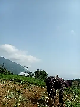 Ngocmi909 online show from April 28, 2:27 am