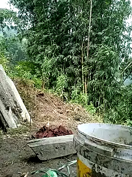 Mainay0033 online show from September 14, 3:48 am