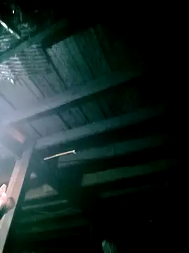 ngan-cute online show from March 5, 1:51 pm