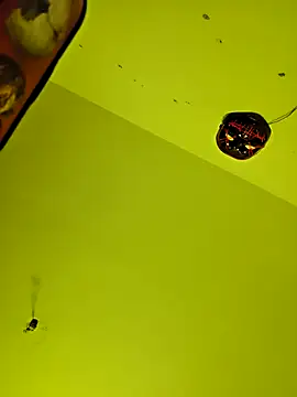 Su-Dar69 online show from November 2, 3:43 am