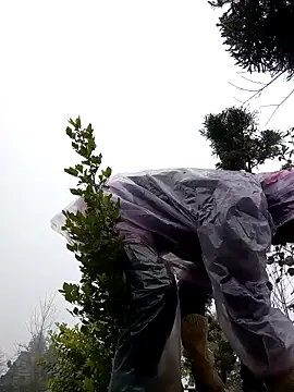 tcm-cute online show from November 3, 7:45 am