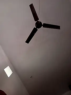 Payal950 online show from December 21, 4:17 am