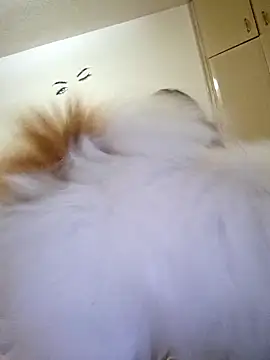 Margarita2500 online show from December 20, 6:06 am