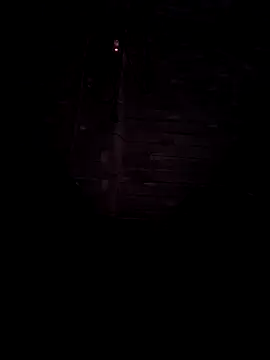 Tin tanny online show from March 12, 6:16 am