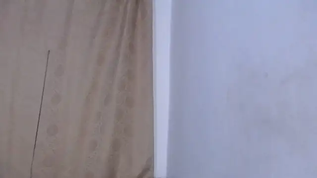 Bicky 24 online show from April 27, 8:11 am